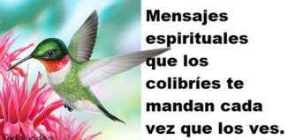 Mensajes espirituales de los colibríes