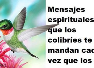 Mensajes espirituales de los colibríes