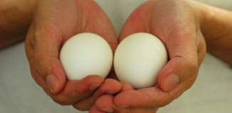 9 cambios en su cuerpo al comer dos huevos al día